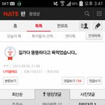 돼지들 <b>합리</b>화 
