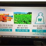 [복면엽호] 반도의 흔한 범죄 <b>형량</b>