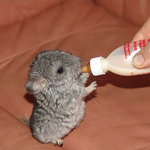 심리박사다.고민들어줌