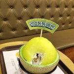 [맛집탐방] 요즘 인기인 <b>설빙</b> 리얼통통메론!!