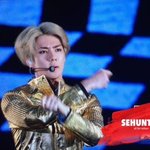 [EXO] 세훈이 머리다듬어라 <b>헤디</b>년아