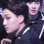 [카이] <b>종인</b>이