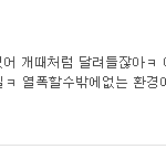 [EXO] 와 이말 ㅇㄱㄹㅇ이다 엑소팬덤의 <b>현실</b> 