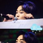 [시우민] 이 짤이란 비슷한 시우민VS소<b>동물</b> 사진 급구 ㅇㅇ