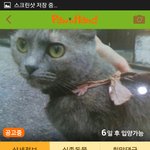 주인,엄마잃고 구조되어 갑갑한 <b>철장</b>에 갇혀 기약없는 나날을 보내고...