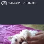 귀여운 우리 강산이