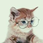 [EXO] 미친 민석이 이거봄??<b>완전</b>똑같아ㅋㅋㅋㅋㅋ