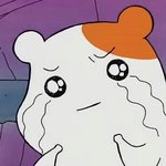 [방탄소년단] 나 걍 포기ㅠㅠㅠㅠㅠㅠㅠㅠㅠㅠ