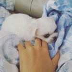 [앙쥬<b>베베</b>] 불어로 '천사'라는 뜻의 앙쥬~ 3탄! 