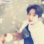 케미 돋는 아이돌과 <b>애완</b>동물들