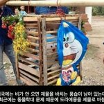 [콜로라도] 태국 소수민족의 흔한<b>제물</b>