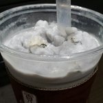 [꼭봐주세요] 공차 타로스무디에서 <b>비닐</b>이 한무더기가 나왔어요