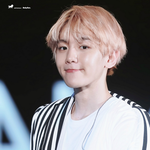 [백현] 150912  Chongqing  나비소녀 (백현 <b>focus</b>)