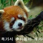 [EXO] 아잌콘데뷔했으니 이제 <b>콘</b><b>팬</b>들 다 나가