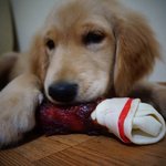 [망고랜드] 천방지축 7남매 웰컴투 망고랜드(2)