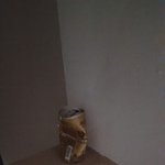 [꼭댓글부탁] 신혼 6개월차  몰상식한 동네 <b>주민</b>