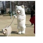 <b>개</b>같은<b>주인</b>