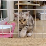 [수리노을] 문 좀 열어주세요