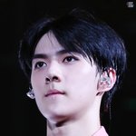[EXO] 세훈이 <b>심</b><b>쿵</b>짤ㅠ
