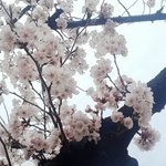 *사진뜨면다시글올릴께*<b>미방</b>0)피부자살각;나보다심한애없다ㄹㅇㅋㅋㅋㅋㅋㅋ