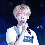 [백현] 백현 같은콘 온도차