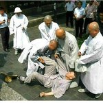 스님들끼리 싸움<b>나심</b>