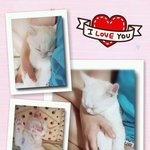 [미뇽] 미뇽이의 일기 1