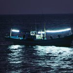 서천호 <b>근처</b> 밤바다 풍경