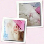 [미뇽] 자는게 제일좋아~ 
