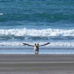 <b>절묘</b>한 순간에 찍힌 착시사진