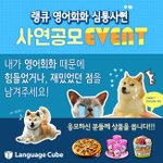 미스터피자랑 베스킨라빈스랑 <b>던킨</b>도너츠 25명 상품 준대요!! 