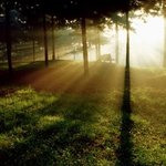 '부처님의 산상수훈'  온 세상이 불타고 있다. 삼계화택 (三界火宅)