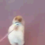 샤이니 노래 추천좀