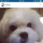 [EXO] <b>배은망덕</b> 이라 는 건 이런 거  보고 하는 말 