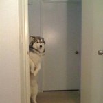 <b>오피</b> 처음간 놈들 특징.jpg 