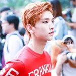 세븐틴 조슈아 닮은꼴