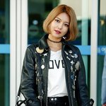 패피 <b>수영</b> 