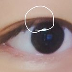 [댓글부탁해] <b>속눈</b>썹ㅋㅋㅋㅋㅋㅋㅠ