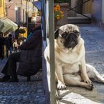 [댓글부탁해] 살면서 쪽팔려서 죽을 뻔한일 공유