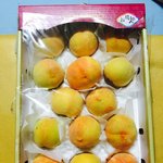 [<b>방</b>탈죄송] 농산물센터 복숭아 충격<b>주의</b>;;;;