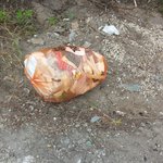 [꼭봐주세요] 쓰레기 <b>무단</b>투입하지맙시다.