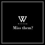 [위너] 헐 인서들 봤어? 양회인별