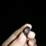 <b>새알</b>먹는데 안에 이상한게있어