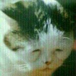[EXO] <b>시발</b> 이 고양이 존나웃김ㅋㅋㅋㅋ