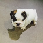[인피니트] 그러고보니 <b>이아이</b>는 어떻게 지낼까