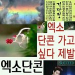 [EXO] <b>허허</b>ㅓㅓㅎㅎㅎ 팬미팅가곡싶다