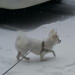 [이뻐해줘요] 곰돌이아니예요!<b>곰들</b>입니다!(작년겨울)