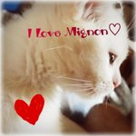 [미뇽] 폭풍<b>그루</b>밍 타임