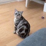 [<b>수리</b>노을] 왜 자꾸불러