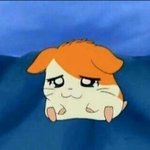 [방탄소년단] 아미밤 걍 결제취소할까?